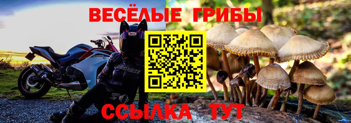 Галлюциногенные грибы прущие грибы Каменск-Шахтинский
